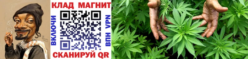 Купить наркотик Кириши APVP БУТИРАТ КОКАИН Гашиш Псилоцибиновые грибы