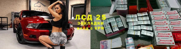 гидра Богородск