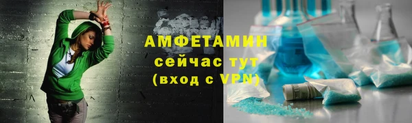 гидра Богородск