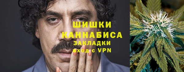 первитин Богданович