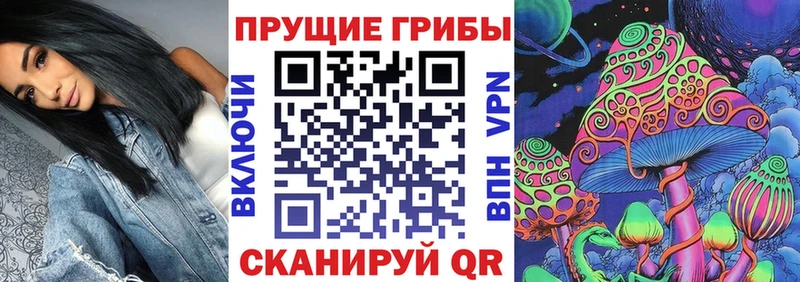 Псилоцибиновые грибы Psilocybe  хочу наркоту  Кириши 