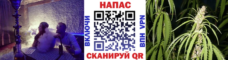 Конопля план Кириши